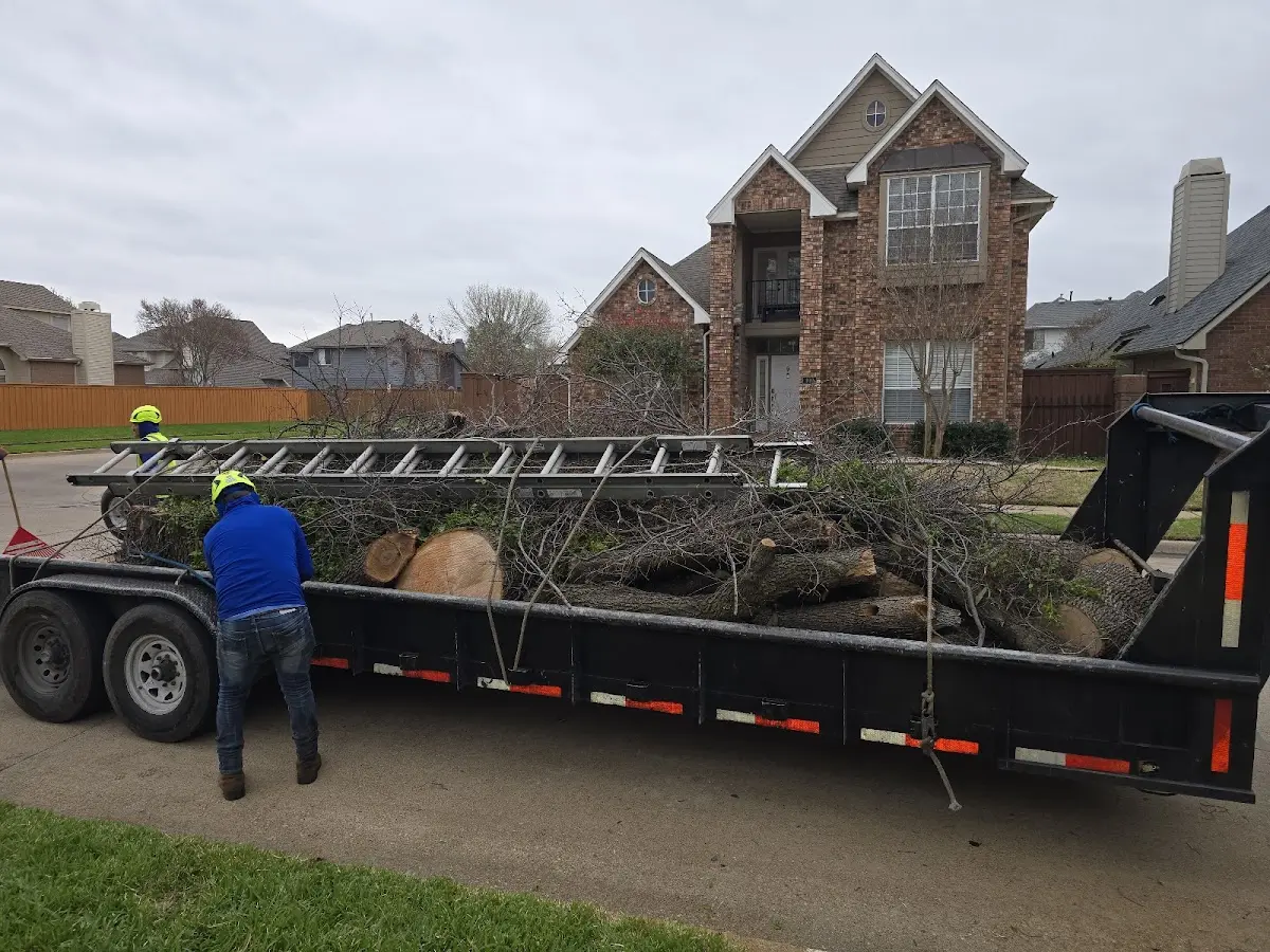 Expert Lot Clearing with proper safety equipment in Marsteller